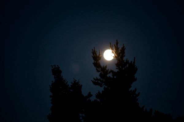 Midsummer moon